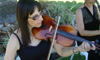 violinst for weddings cape town